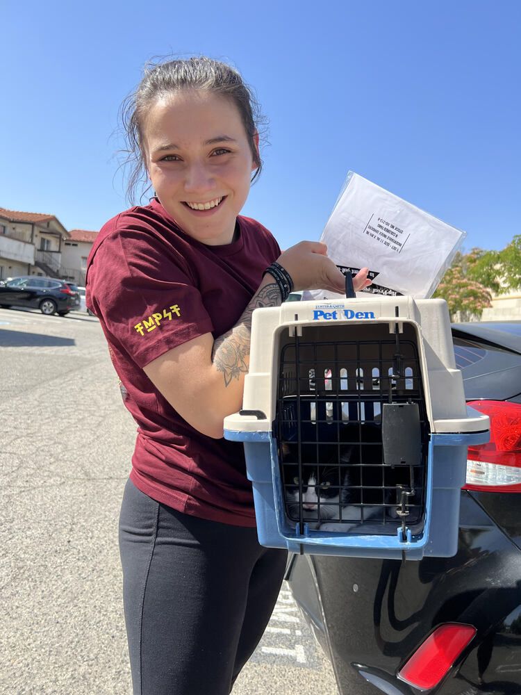 e4033f83482fa2a2933e33ebdb8276e4